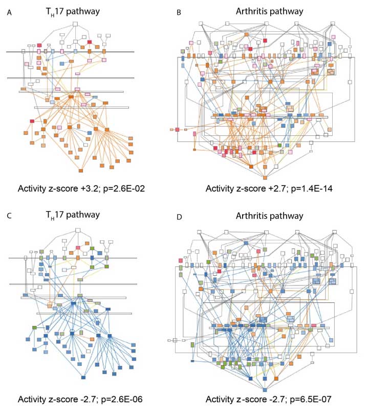 synergistic fficacy of dual pathway inhibitory iffect bispecific nanobodies