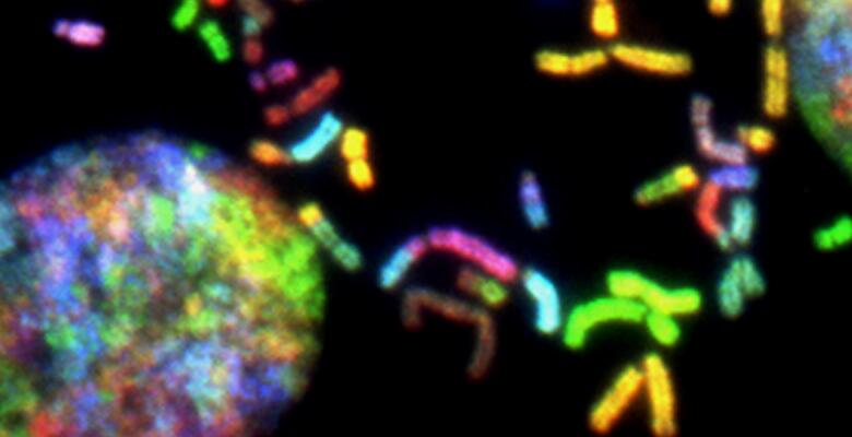 nb chemokines cxcr4 text part 1