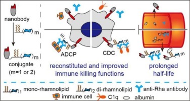 egfr article fig2