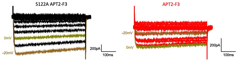 nb ptm fig6