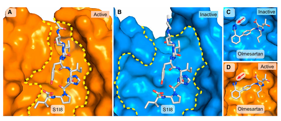 fig6 at1r gpcr