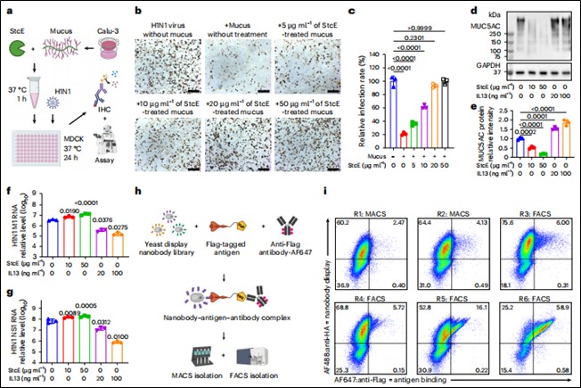 nbs muc5ac nbi9m6 fig1