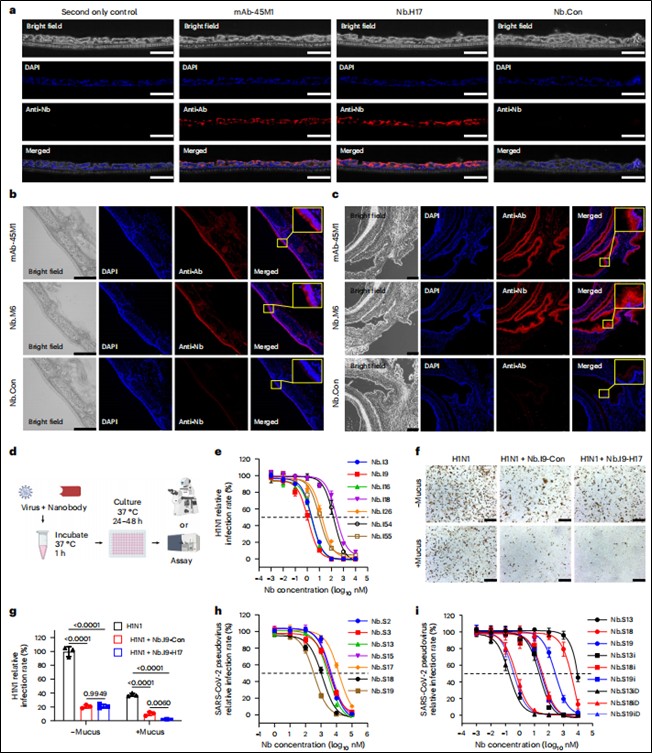 nbs muc5ac nbi9m6 fig2