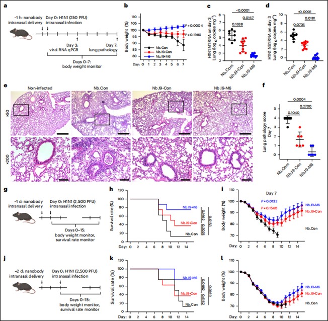 nbs muc5ac nbi9m6 fig4