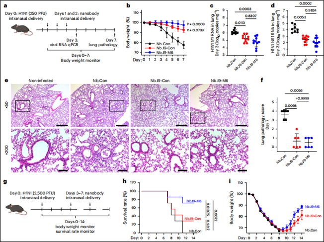 nbs muc5ac nbi9m6 fig5