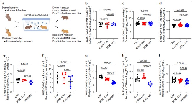 nbs muc5ac nbi9m6 fig6