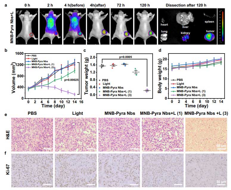 pdt nbs fig4