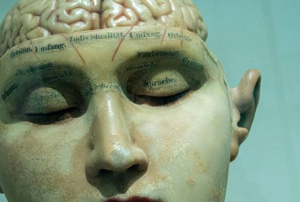 如何破解记忆橡皮，阿尔茨海默症成药有新发现