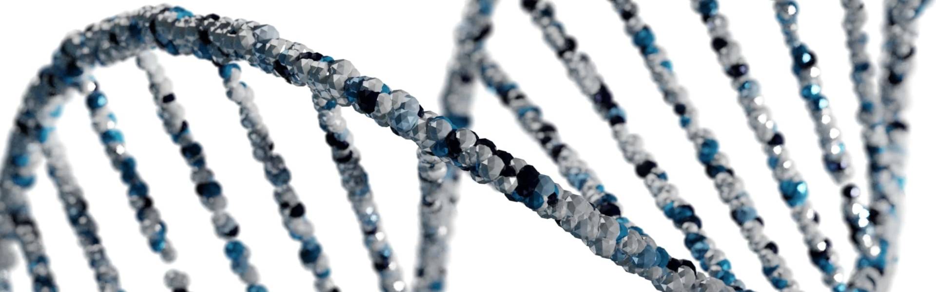 红斑狼疮的根治之路