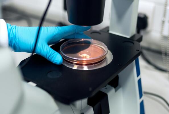 基于纳米抗体的定向固定技术策略探索