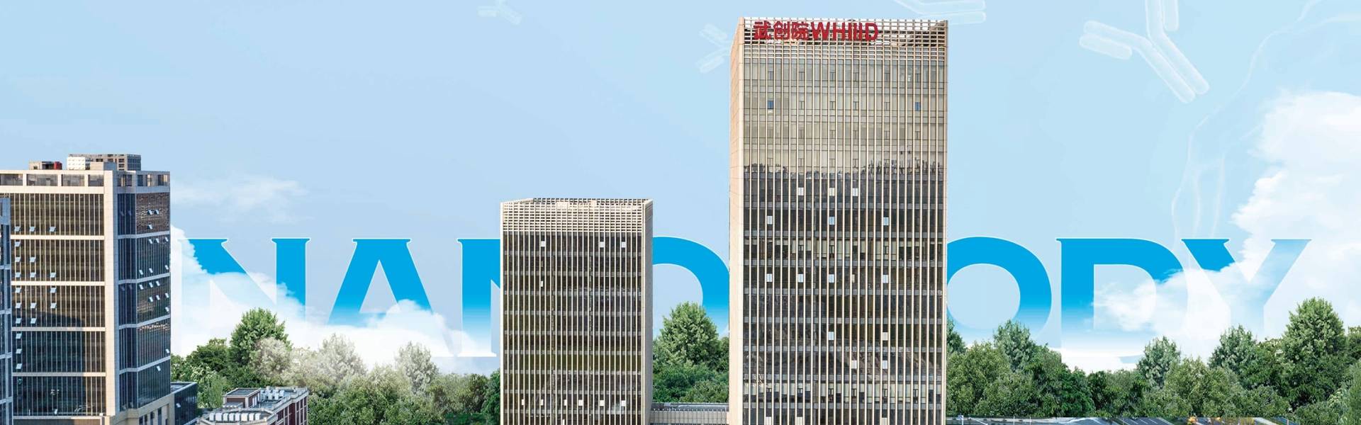 深耕纳米抗体领域，践行科研产业创新融合