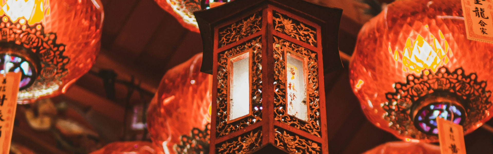 乙巳启新 · 灵蛇献瑞 · 纳米抗体绘蓝图