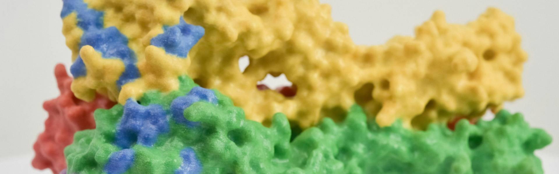 纳米抗体：EGFR相关肿瘤治疗性抗体的全新研发策略