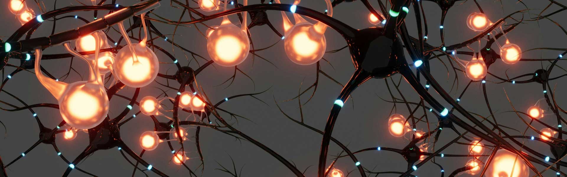 FZD3纳米抗体：精准调控癌症与神经疾病靶点