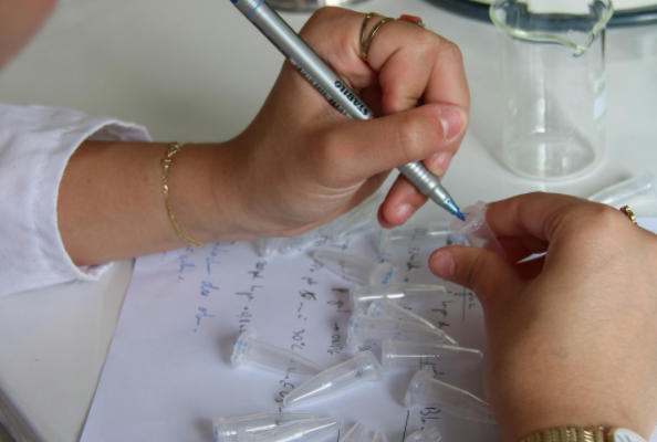 PD-1纳米抗体与现货免疫库