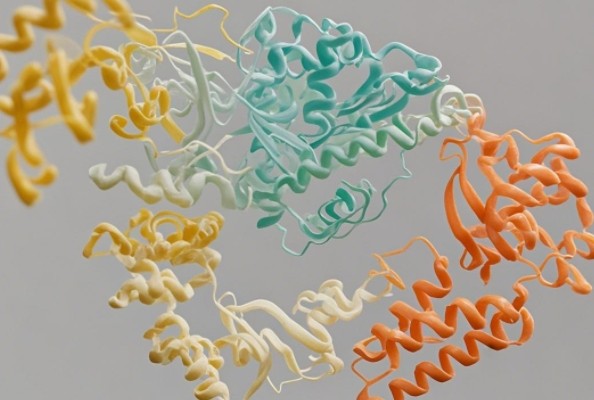 纳米抗体：EGFR相关肿瘤治疗性抗体的全新研发策略