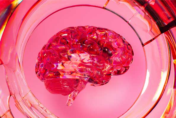 纳米抗体赋能溶瘤病毒：精准猎杀GBM干细胞