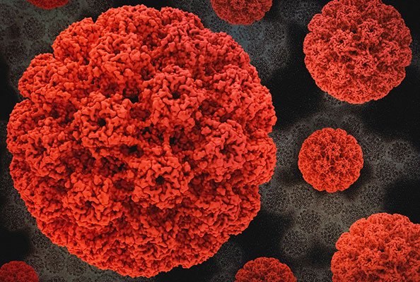 宫颈癌治疗新纪元：基于纳米抗体CAR-T疗法突破实体瘤治疗瓶颈