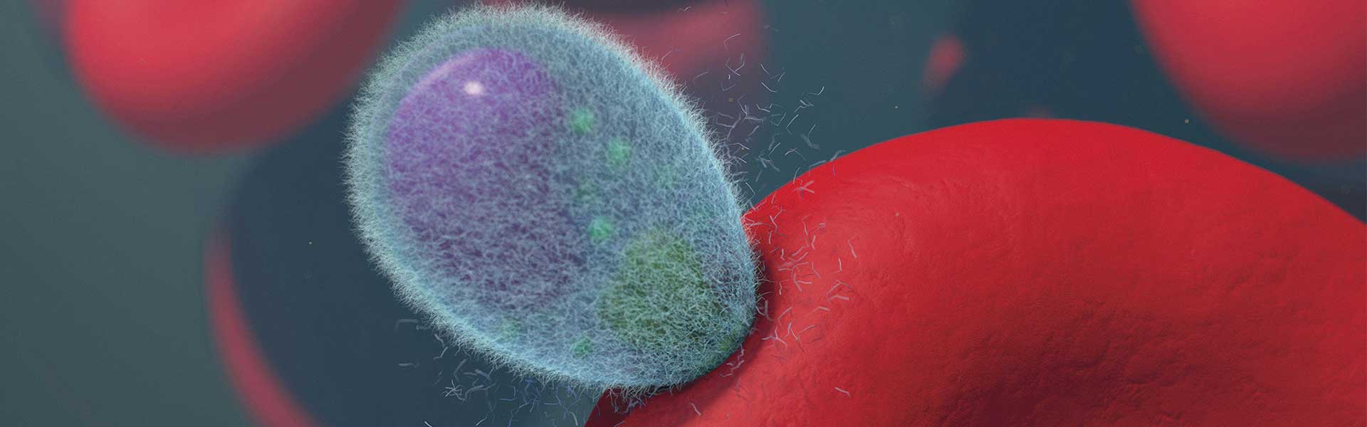 疟疾传播阻断的精准生物防控机制