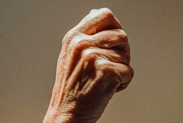 纳米抗体：自体免疫性疾病的精准调节卫士