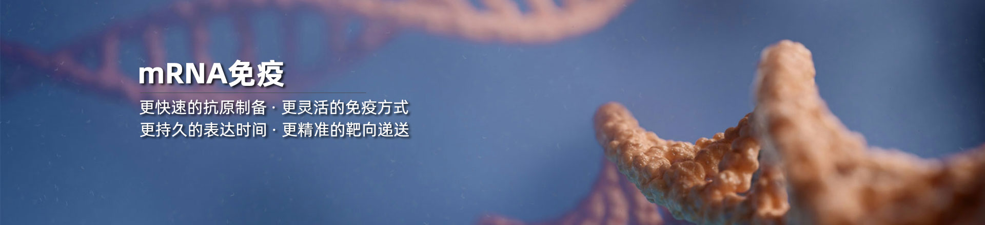 更快速的抗原制备，更灵活的免疫方式 更持久的表达时间，更精准的靶向递送