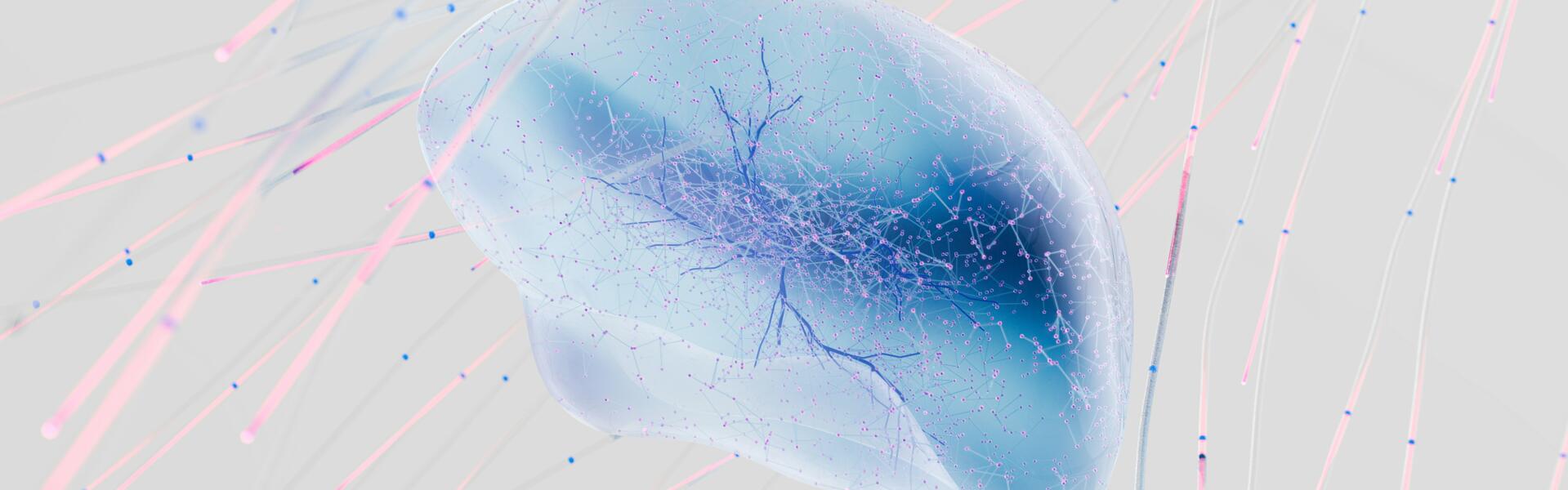 纳米抗体肿瘤免疫研究专家Jo Van Ginderachter教授受聘西安交大客座教授