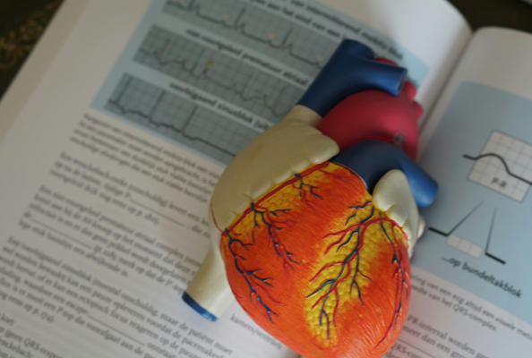 纳米抗体重塑癌症抑制蛋白p16的稳定性