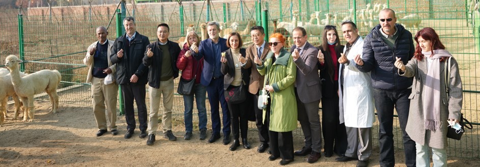 巴尔干地区各国科学家组团来访，纳博羊驼倍受青睐